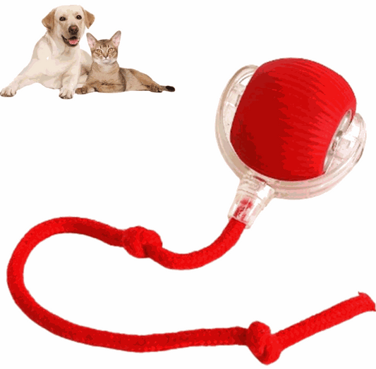 Smart Rolling Pet Ball with sensors and rope for interactive cat play